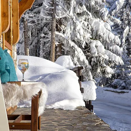 L'aiglon Guest house La Rosiere (Savoie)